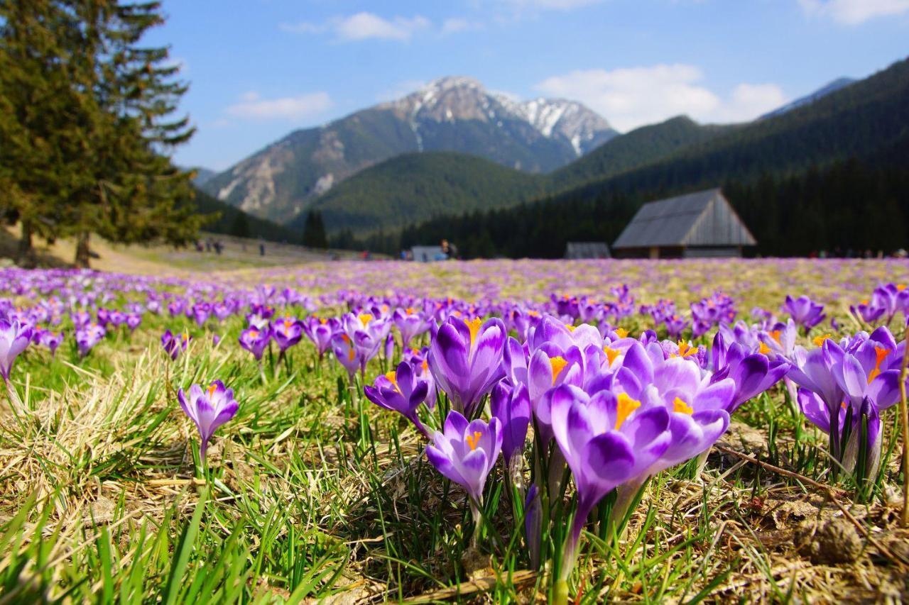 Hotel Helios Zakopane Exteriér fotografie